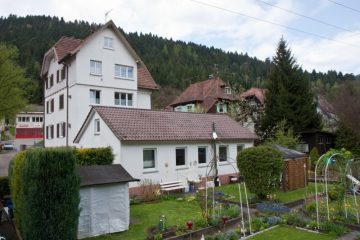 4 – Familienhaus mit Nebengebäude, 75399 Unterreichenbach, Mehrfamilienhaus